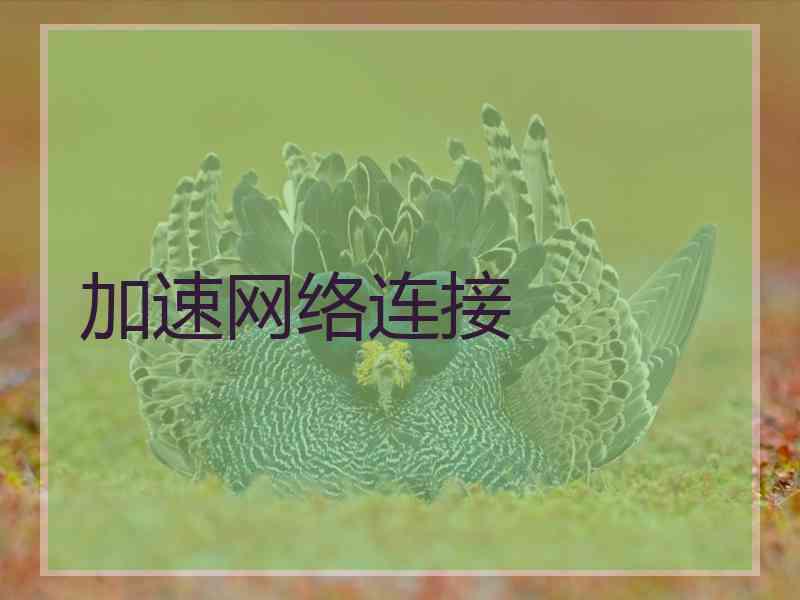 加速网络连接