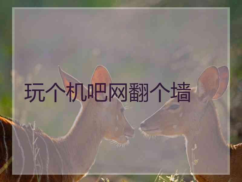 玩个机吧网翻个墙