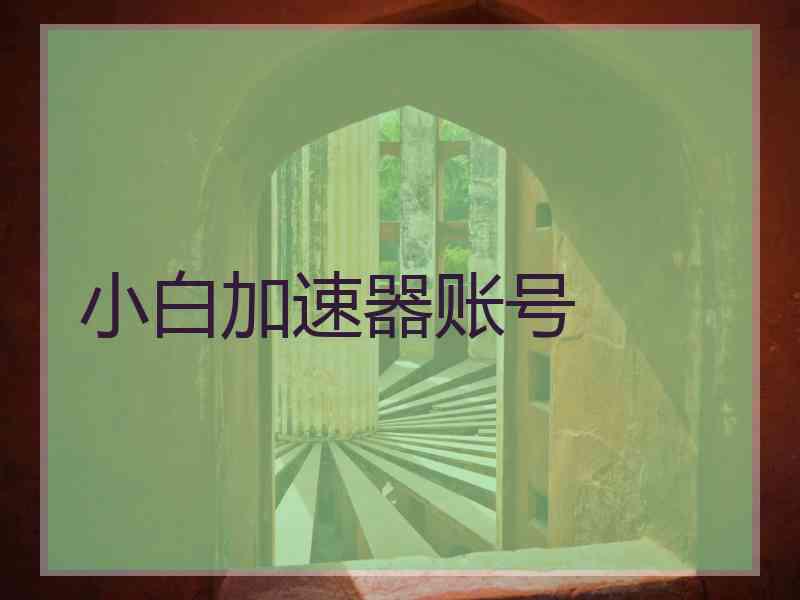 小白加速器账号