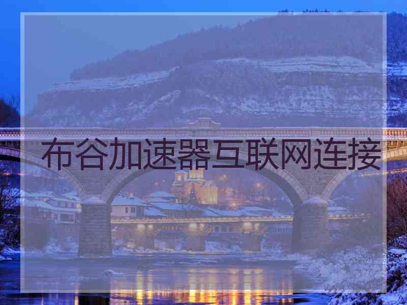 布谷加速器互联网连接
