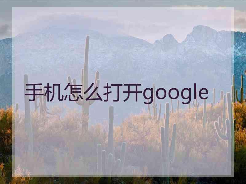 手机怎么打开google