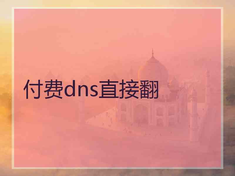 付费dns直接翻