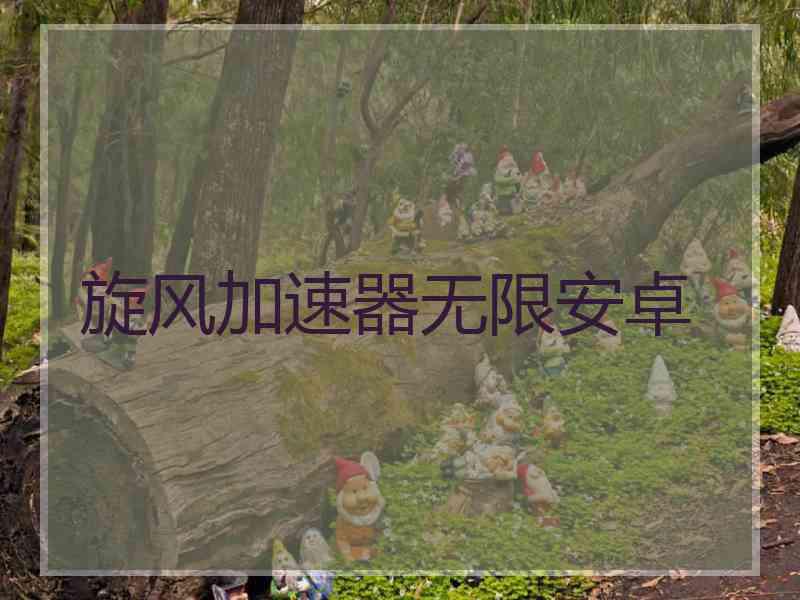 旋风加速器无限安卓