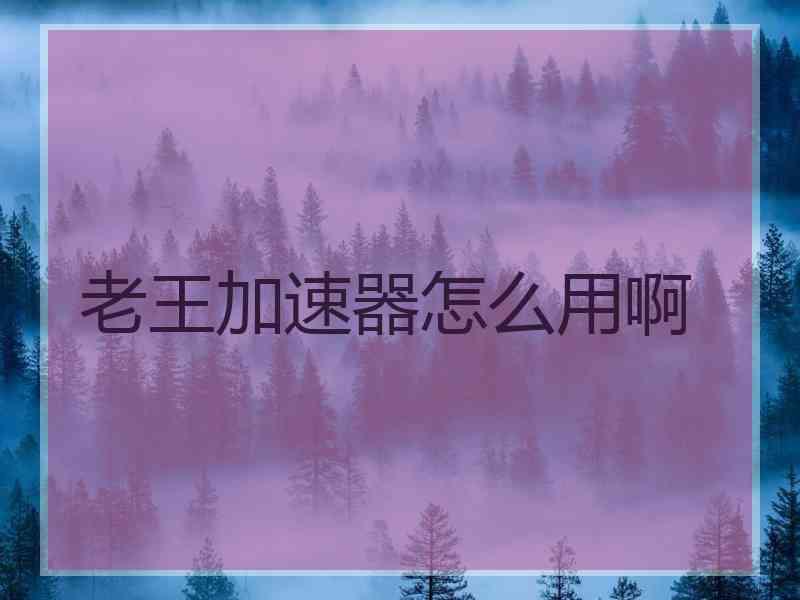 老王加速器怎么用啊