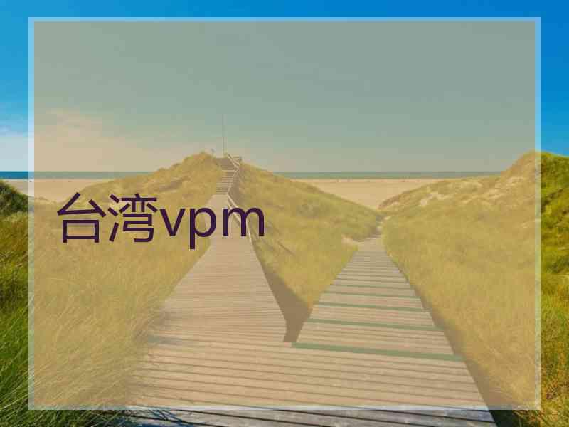台湾vpm