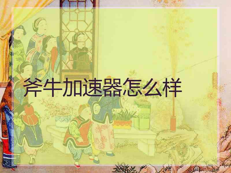 斧牛加速器怎么样