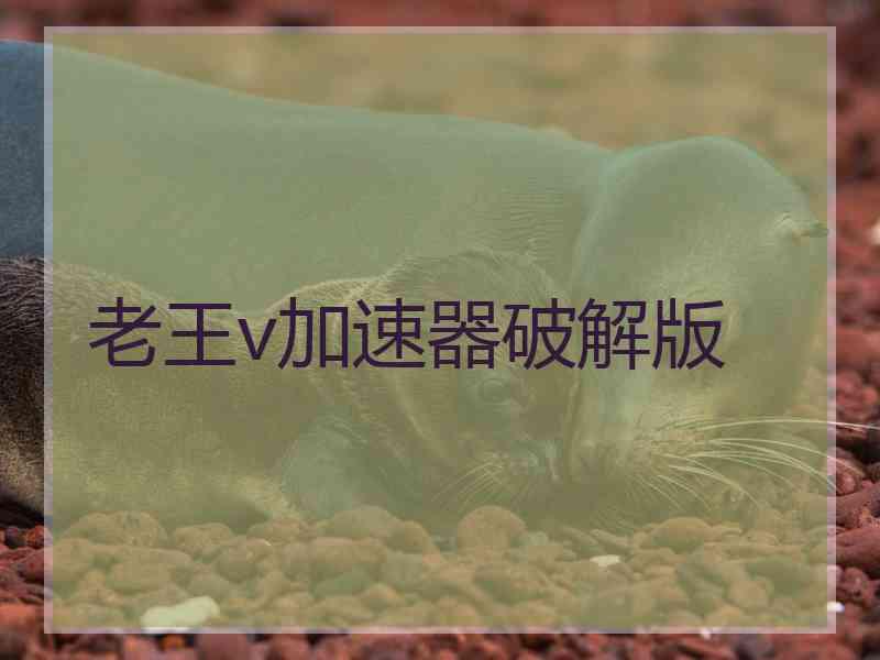 老王v加速器破解版