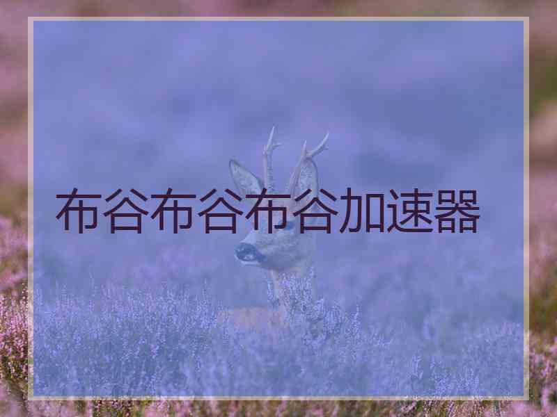 布谷布谷布谷加速器
