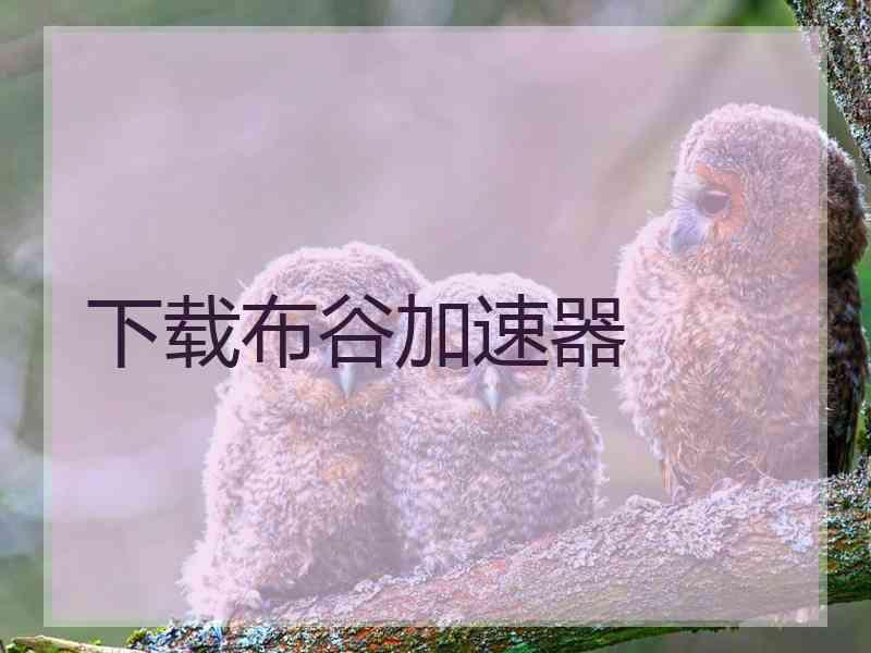 下载布谷加速器