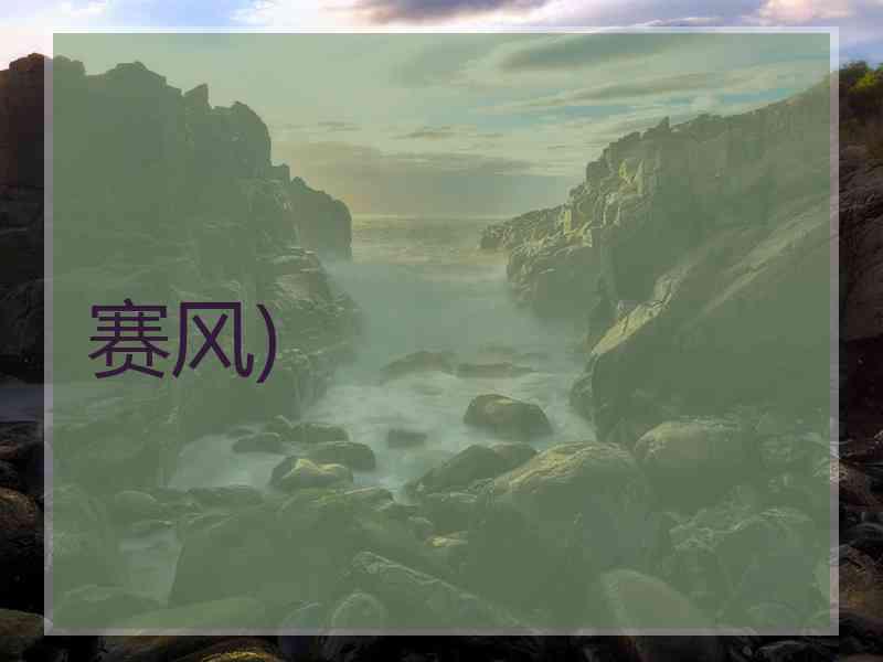 赛风)