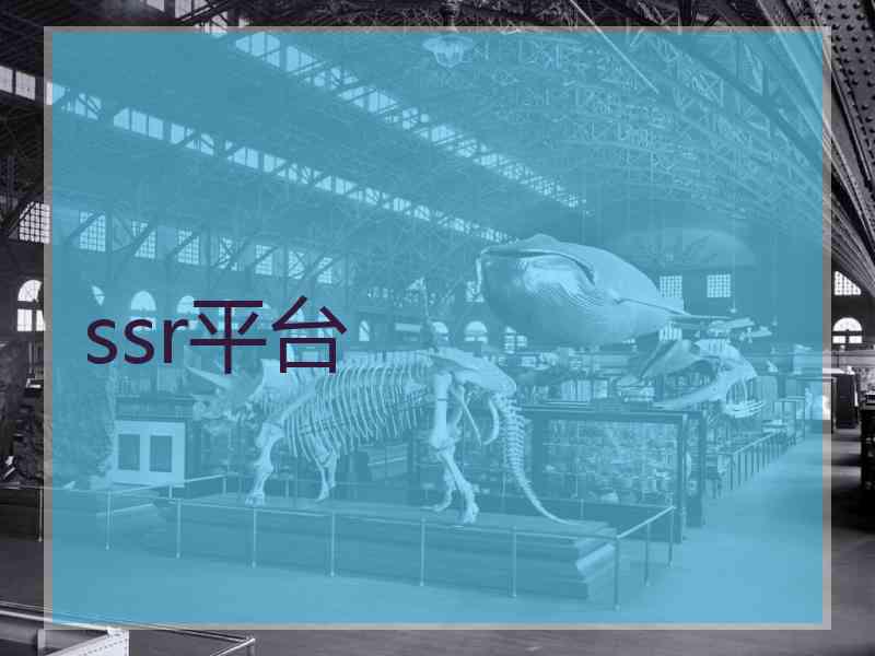 ssr平台