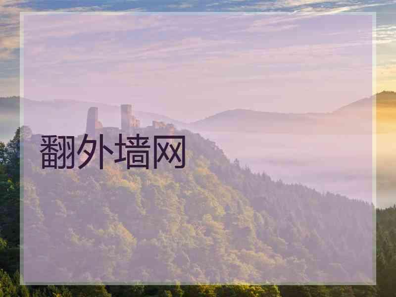 翻外墙网
