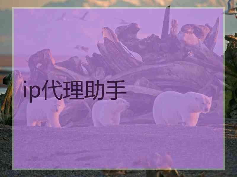 ip代理助手