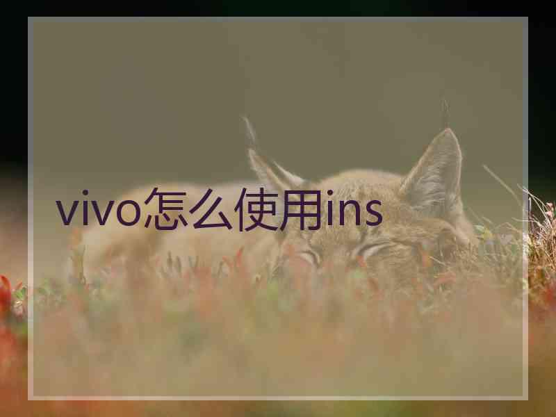 vivo怎么使用ins