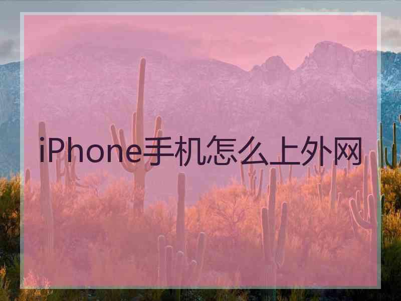 iPhone手机怎么上外网