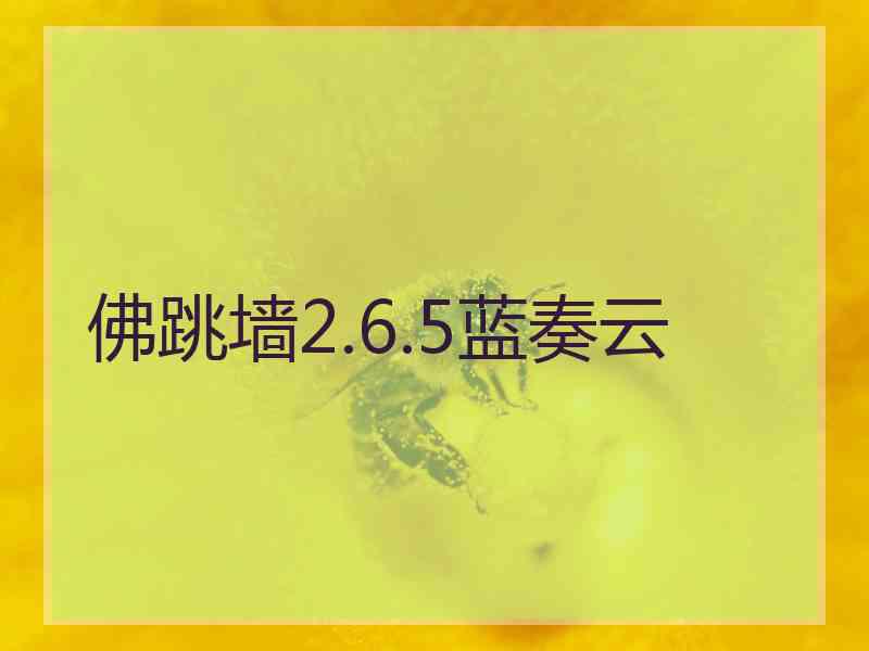 佛跳墙2.6.5蓝奏云