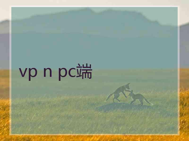 vp n pc端