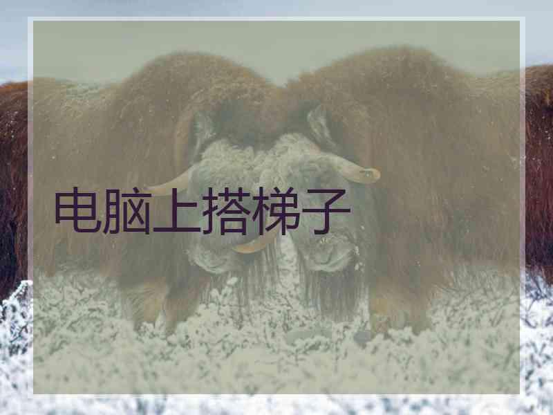 电脑上搭梯子