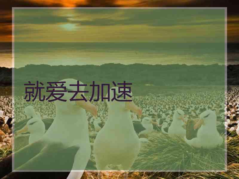 就爱去加速