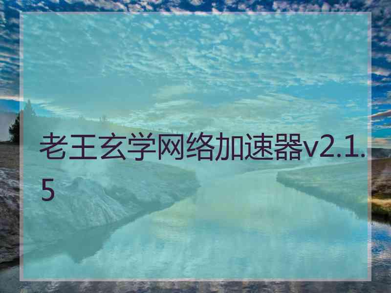 老王玄学网络加速器v2.1.5