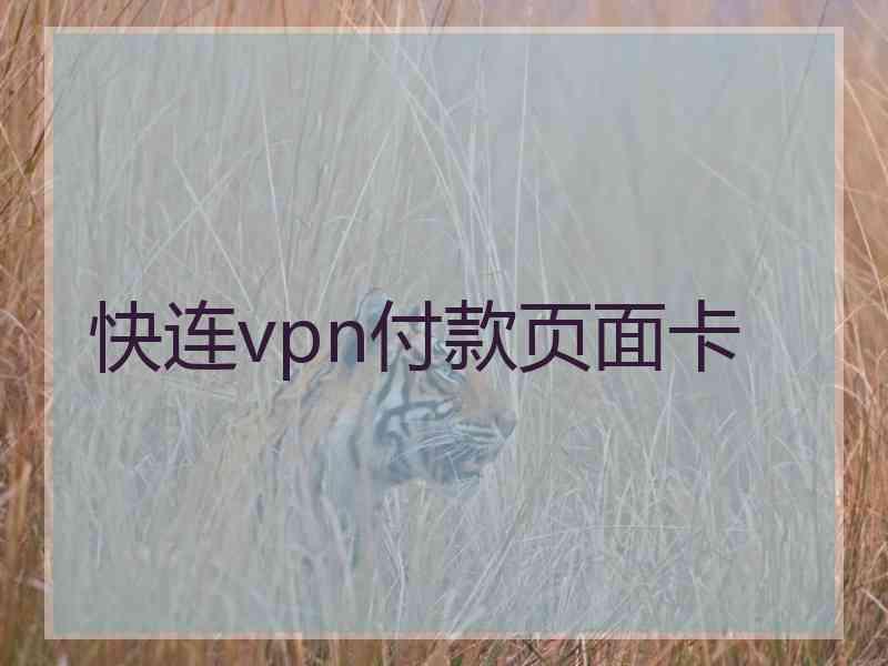 快连vpn付款页面卡
