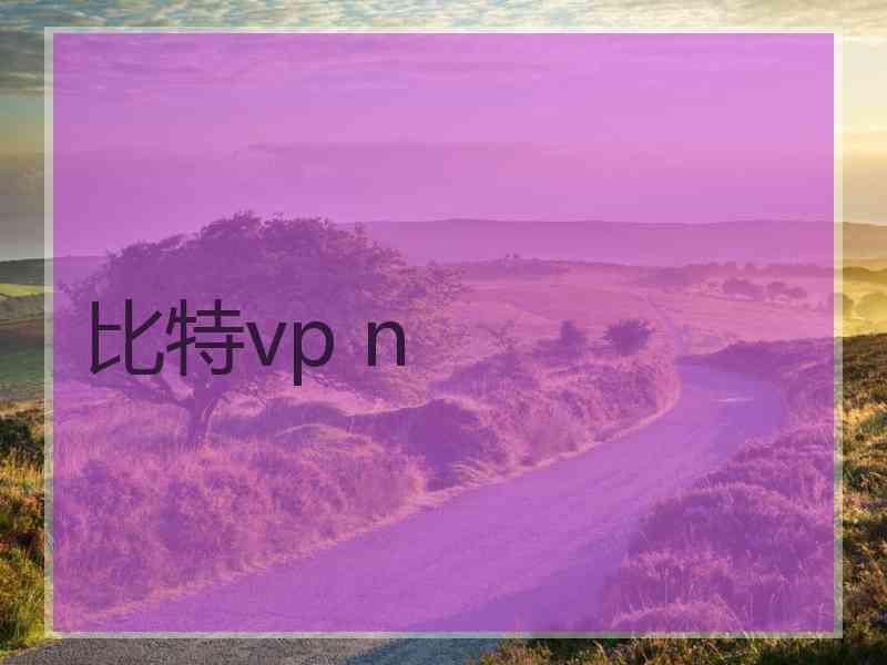 比特vp n
