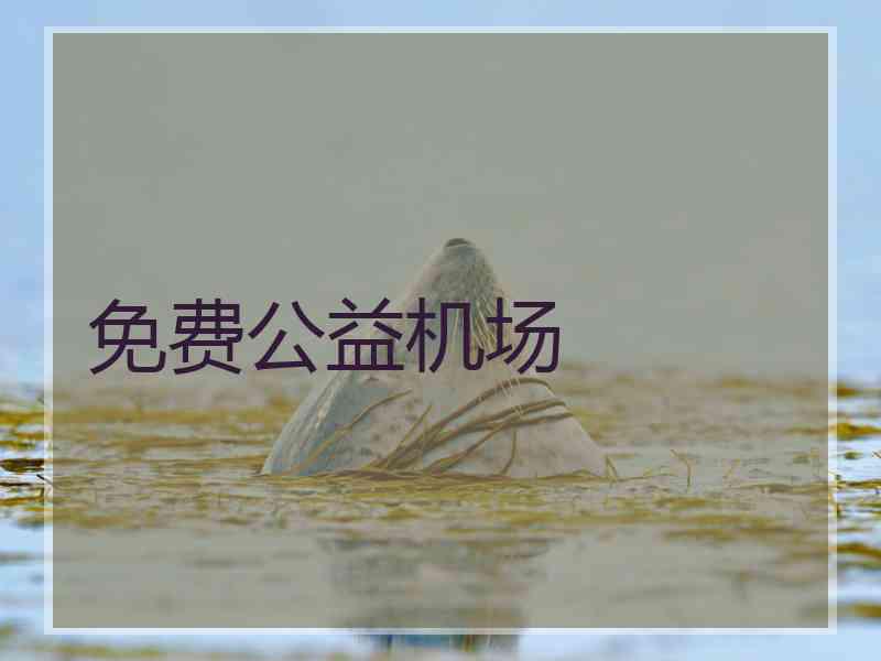 免费公益机场