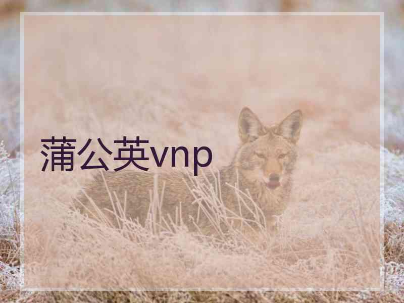 蒲公英vnp
