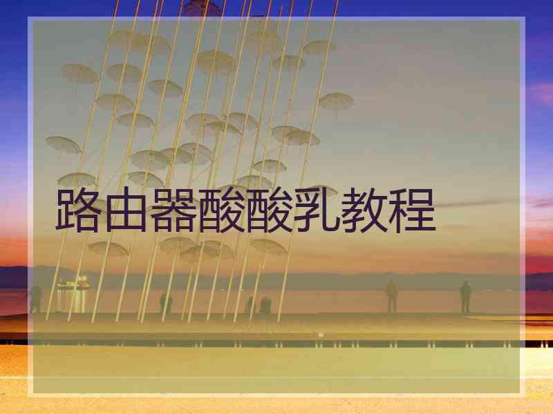 路由器酸酸乳教程