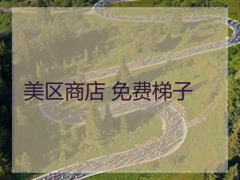 美区商店 免费梯子