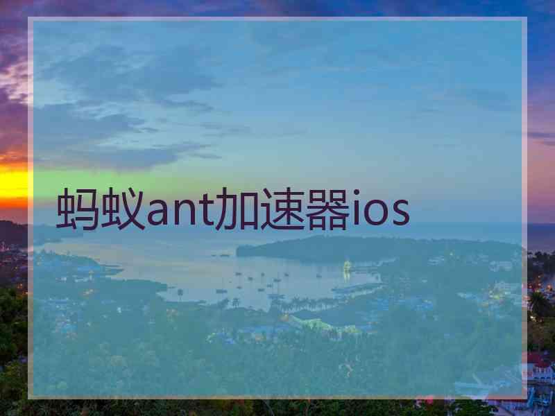 蚂蚁ant加速器ios