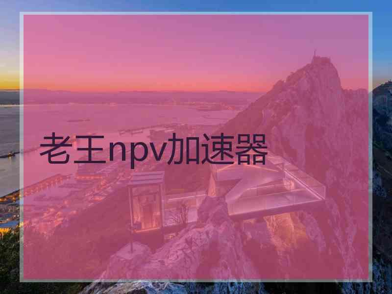 老王npv加速器