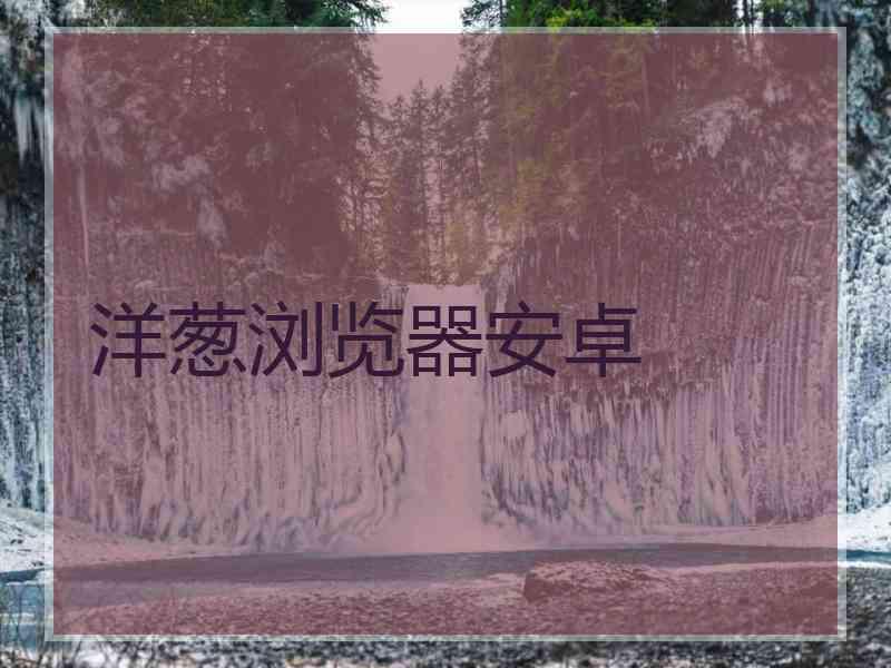 洋葱浏览器安卓