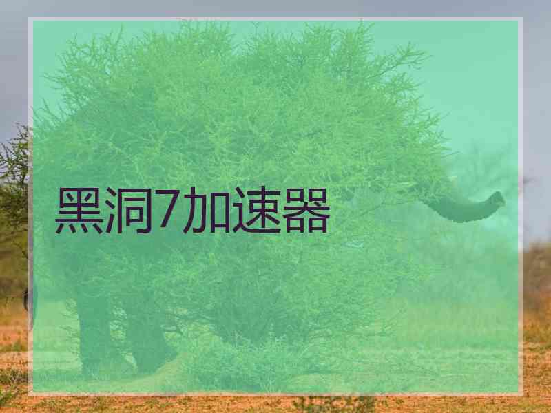 黑洞7加速器