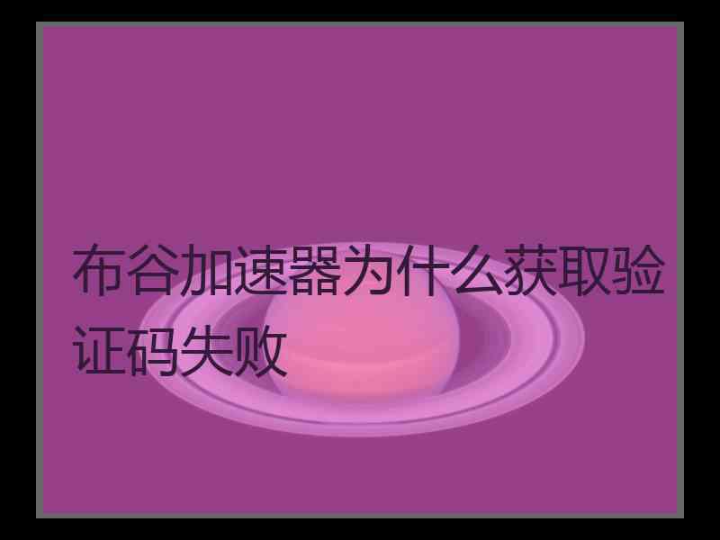 布谷加速器为什么获取验证码失败