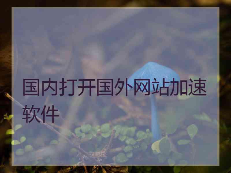 国内打开国外网站加速软件