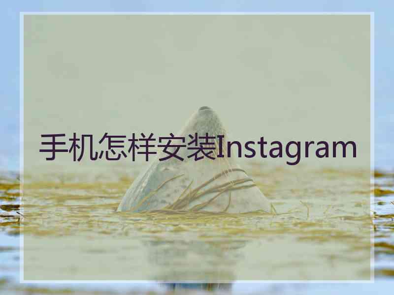 手机怎样安装Instagram