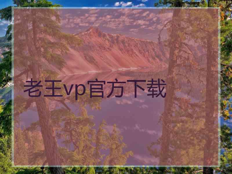 老王vp官方下载