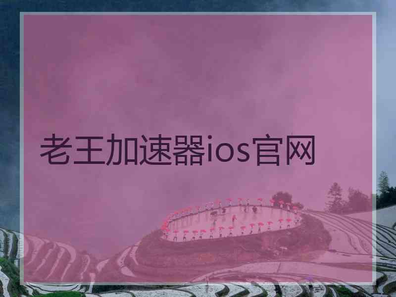 老王加速器ios官网