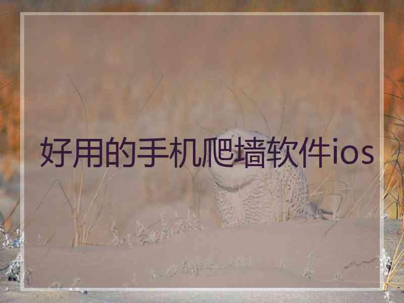 好用的手机爬墙软件ios
