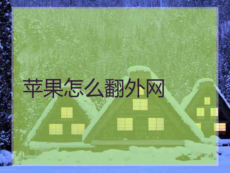 苹果怎么翻外网