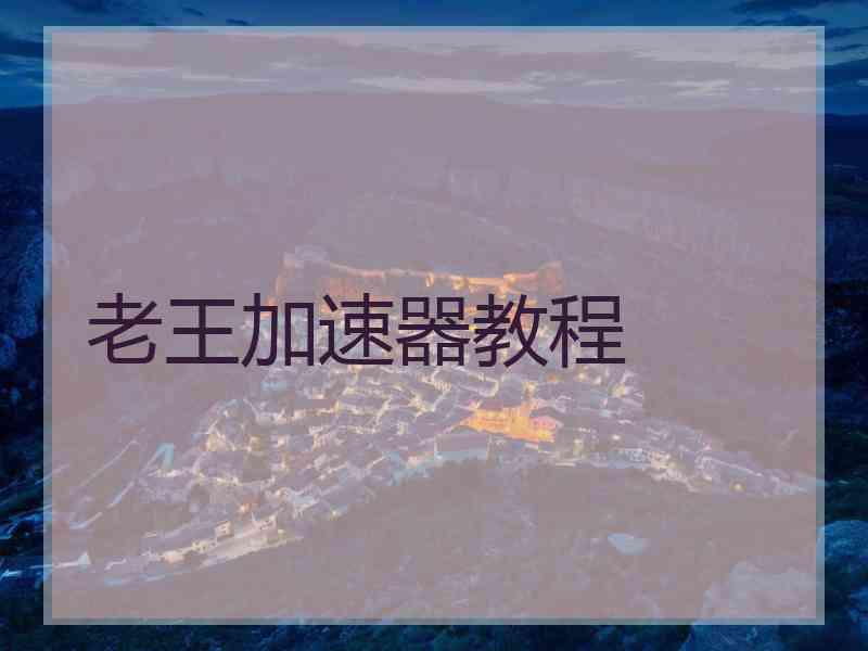 老王加速器教程