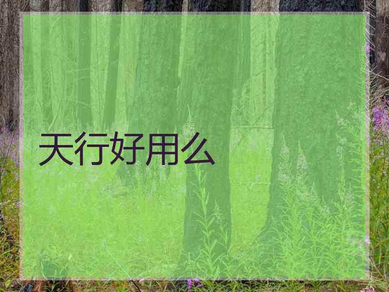 天行好用么