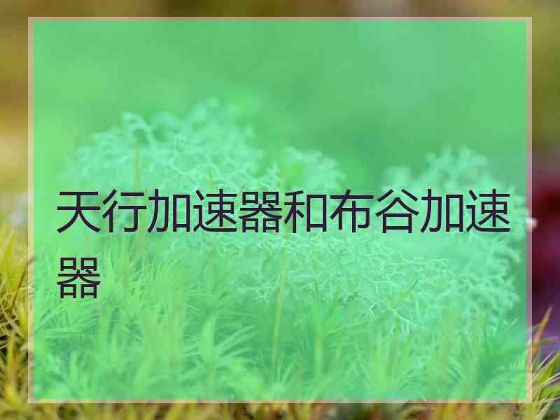 天行加速器和布谷加速器
