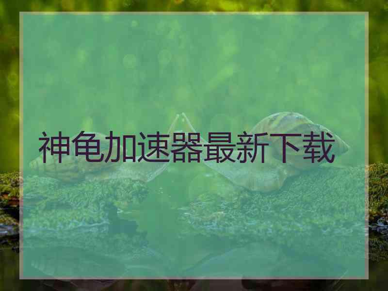 神龟加速器最新下载