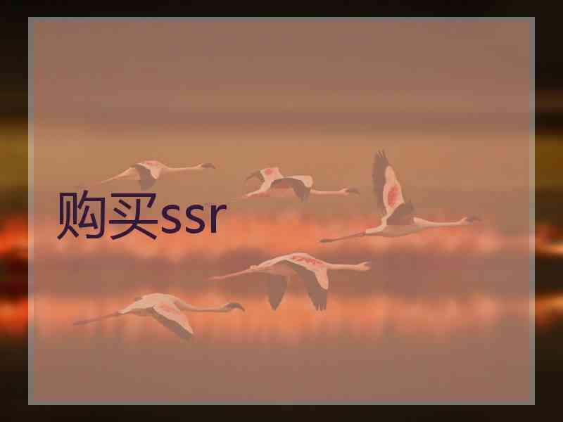 购买ssr