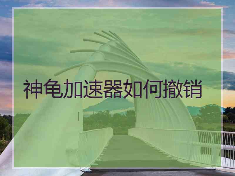 神龟加速器如何撤销