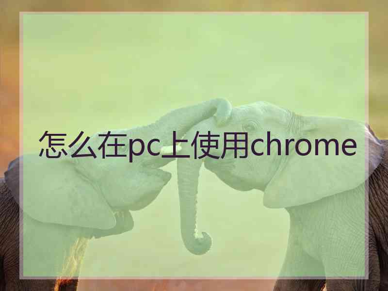 怎么在pc上使用chrome