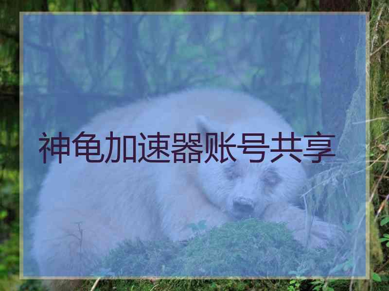 神龟加速器账号共享