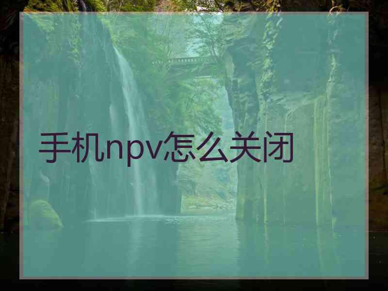 手机npv怎么关闭